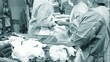 Trauma Surgery