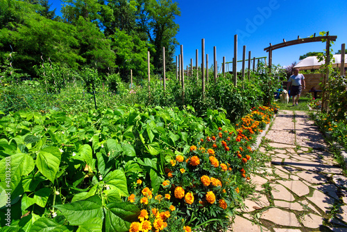 Photo: Potager bio. Potager bio.