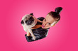Overhead view of woman with pug