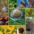 Gartenarbeit