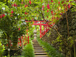 Oriental Garden