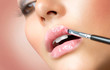 Makeup.Professional Make-up. Lipgloss. Lipstick