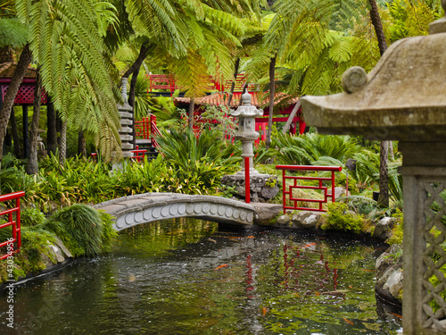 Photo: Oriental Garden Oriental Garden