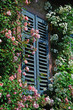 Foto: wunderschönes Rosenfenster wunderschönes Rosenfenster