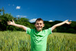 Happy boy in a wheat field
