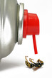 insektenspray mit fliege