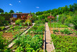 Potager bio.