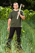 Gardener in an onion field, weeding