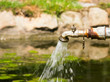 Rusty Water Tap