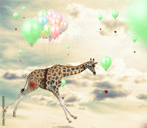Photo: Ingenious giraffe reaching an apple flying using balloons Ingenious giraffe reaching an apple flying using balloons