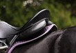 Foto: Saddle Saddle