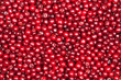 red cherry