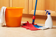 House cleaning with the mop