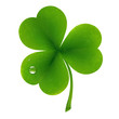 Clover Leaf