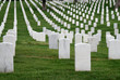 Arlington 2