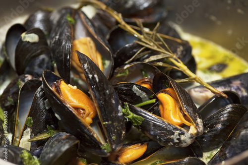 Foto: Mussels being cooked in buttery sause close-up Mussels being cooked in buttery sause close-up