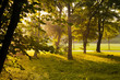 Foto: Abends im Paradies Park Abends im Paradies Park