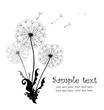 Background with dandelions