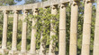 Ruins of the Greco-Roman city of Jerash, Jordan.