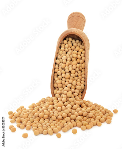 Foto: Soya Beans Soya Beans
