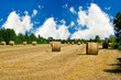 Bales of hay in a field