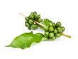 coffee beans.