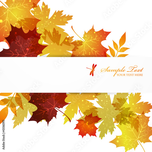 Vector: maple background maple background