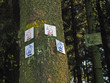 Wanderwegweiser in Alverdissen
