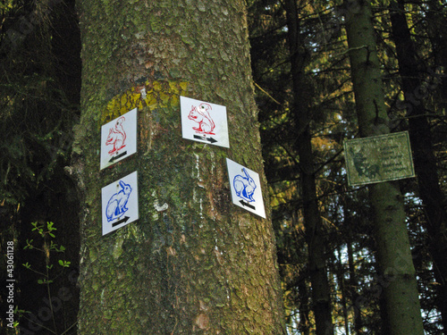 Foto: Wanderwegweiser in Alverdissen Wanderwegweiser in Alverdissen