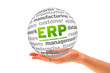 Enterprise Resource Planning
