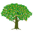 Apfelbaum