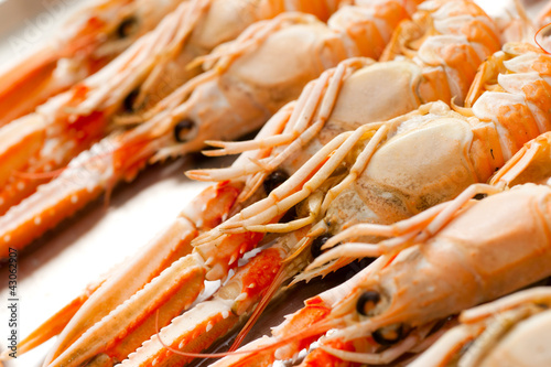 Photo: Fresh Scampi Fresh Scampi