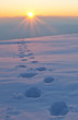 Photo: der sonne entgegen der sonne entgegen