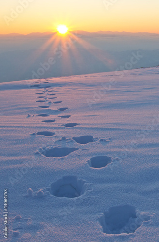 Photo: der sonne entgegen der sonne entgegen