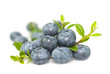 Photo: Bilberry with leaves on white background. Bilberry with leaves on white background.