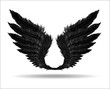 Wings of Darkness