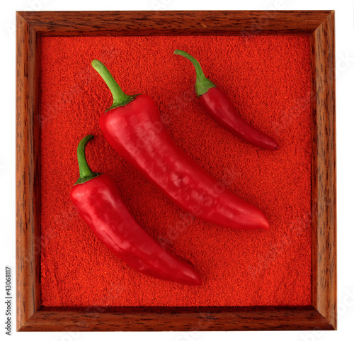 Foto: Chili pepper pod on paprika powder, full frame Chili pepper pod on paprika powder, full frame