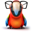 Fun parrot