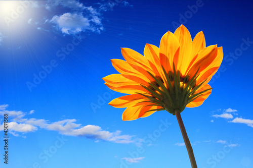 Photo: springtime springtime
