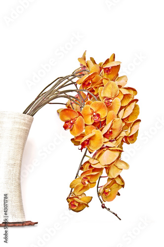 Foto: Bouquet d'orchidées phalaenopsis oranges Bouquet d'orchidées phalaenopsis oranges