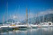 Marina with yachts and boats