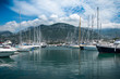 Marina with yachts and boats