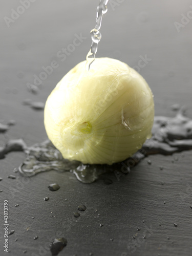 Photo: Rincer un oignon Rincer un oignon