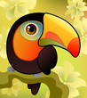 Toucan on the  branch