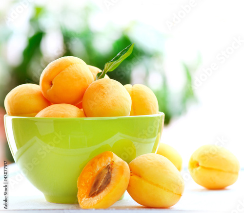 Photo: Apricot Apricot