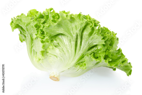 Photo: Green salad head on white, clipping path included Green salad head on white, clipping path included