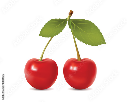Vektor: Beautiful cherry. realistic vector illustration Beautiful cherry. realistic vector illustration