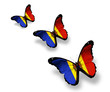 Three Moldavian flag butterflies, isolated on white