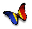 Moldavian flag butterfly, isolated on white