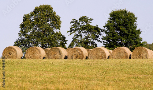 Photo: Hay Bales On Farm Hay Bales On Farm